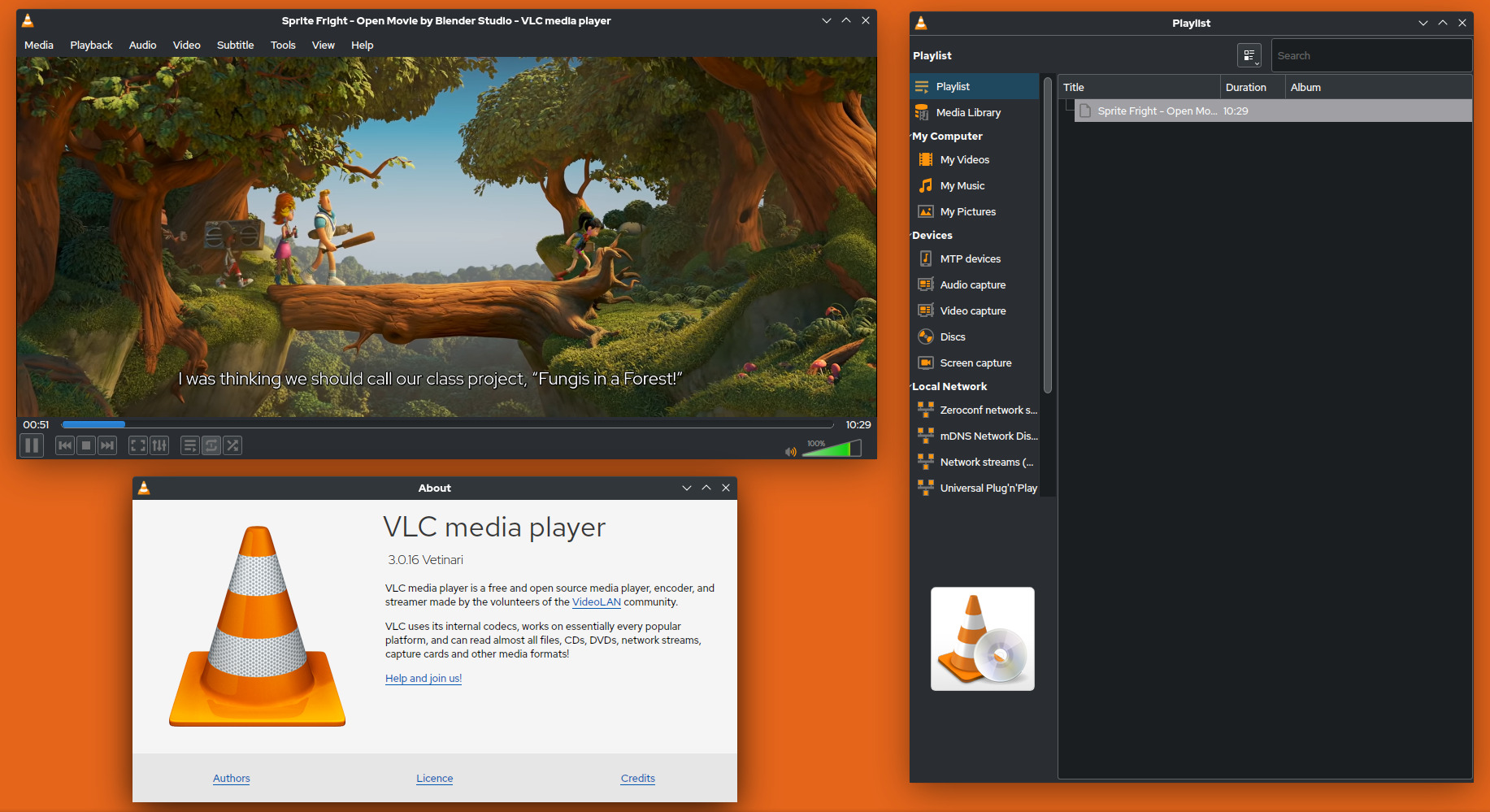 Screenshot VLC Media Player